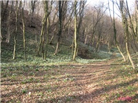 881aa192-IMG_4501 2.jpg